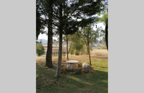 Puerta Laguna - Casa con parcela - Foto 5