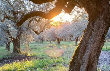 Agriturismo Portoreschi - Foto 14