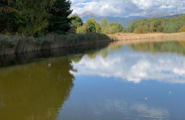 Villa Silvia - Photo 65