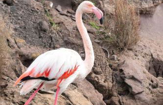 Villa Lucia B17 By Book Menorca Villas - Foto 45