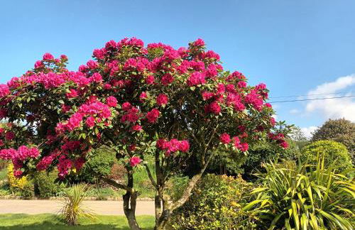 Le Manoir de KEROFIL - Foto 26