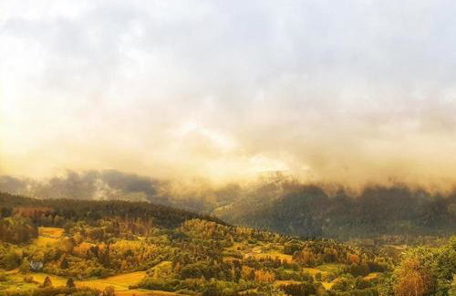 Chalet 3 étoiles avec sauna près de La Bresse - FR-1-589-18 - Foto 6