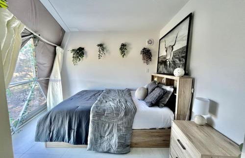 Dome Sweet Dome - Foto 19