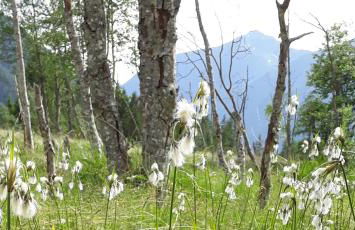 Unterreinischhof - Foto 37