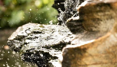 itzgrundperlchen - Foto 2, Garden