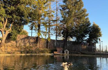 Mas Cal Sastre - Foto 6