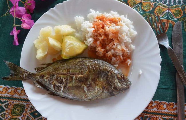 Avistamiento de delfines en el Parque Nacional Marino Kisite - Foto 7