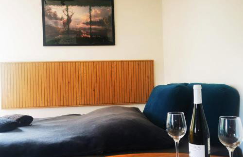 Apartament Chełmsko Śląskie - Foto 3