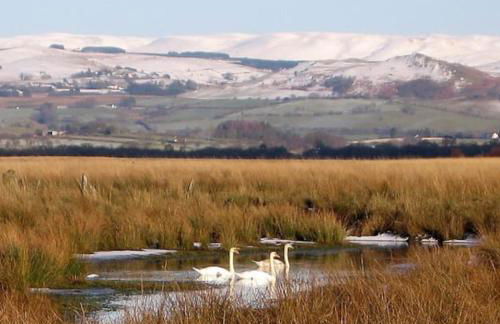 Yr Hen Efail - Old Smithy - Foto 33