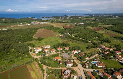 Jani by Briskva - Foto 16