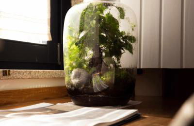 Quinta da Pousada Casa de Campo - Photo 10