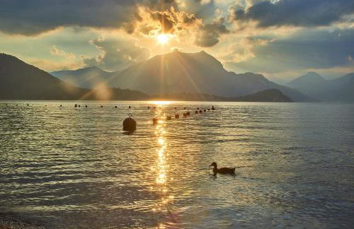 WINDOW ON THE LAKE - Foto 26