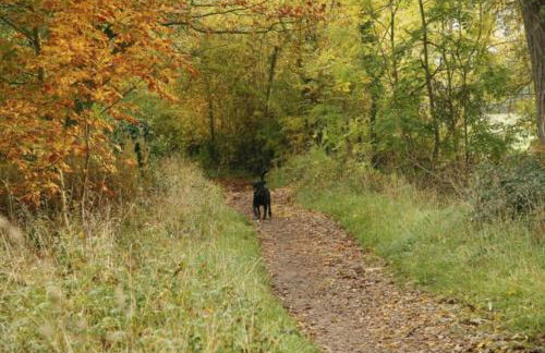 Modern 1-bed apartment, plus parking, near Oxford and the JR - Foto 17