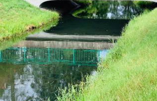 FeWo Casa - Photo 12