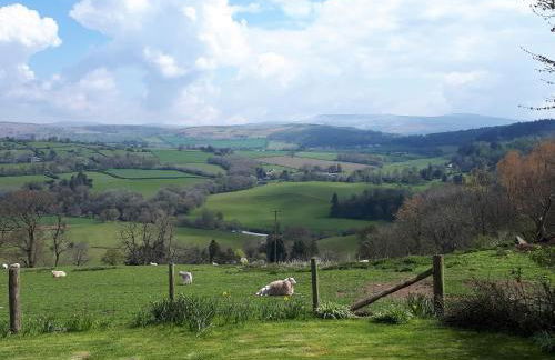 Ty Twmp Tump Cottage - Foto 37