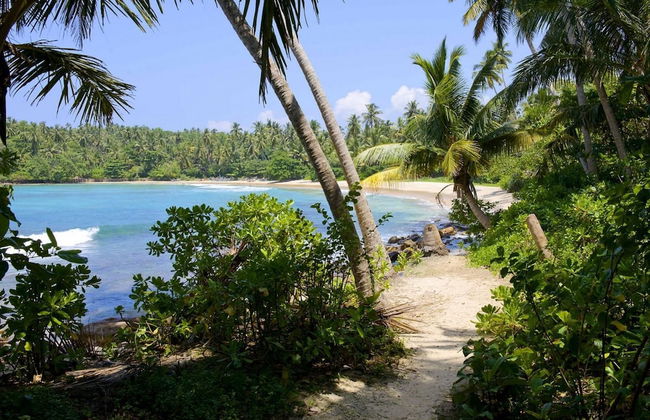 Elevated Family Beach House With Ocean Views - Foto 29