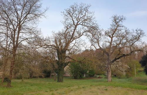 Spatieux, confort, reposant, gd jardin bucolique, jeux, balades, zoo, châteaux - Foto 31