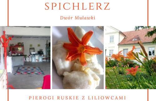 Dwór Muławki - Foto 24