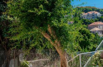 Apartment Laura - Lapad - Photo 44