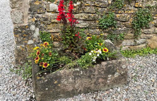 Acorn Cottage - Foto 67