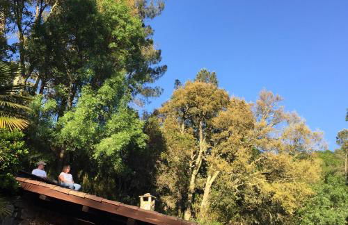 O Muíño da Balsiña - Foto 19