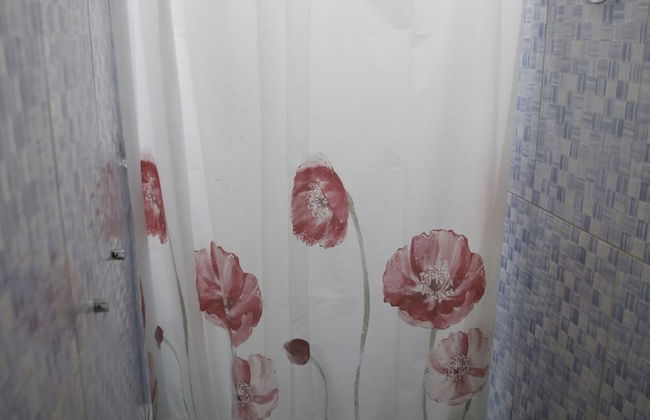 paratemporada - Foto 26