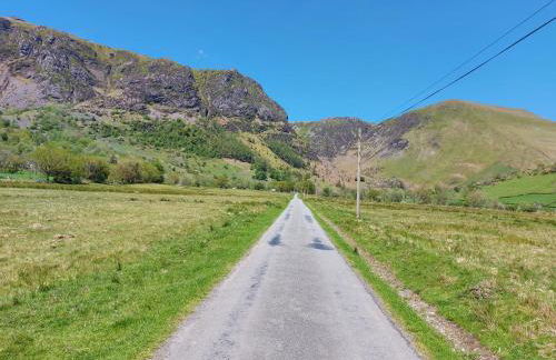 Bryn Sion Farm - Photo 5