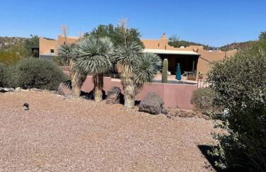 Tucson Mnt Foothills Saguaro Bliss - Foto 38