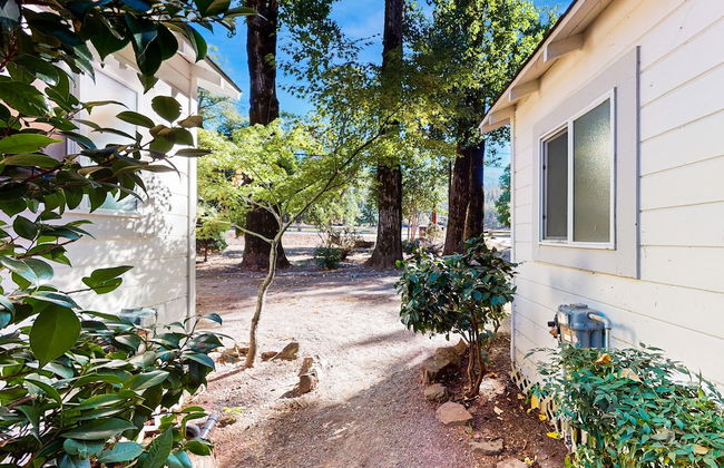 Rouge Cobb Mountain Cabins - Photo 47