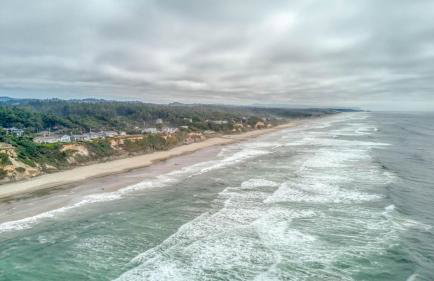 A Whale of a View - Foto 43