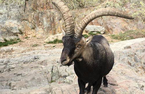 Artesano II - Foto 23