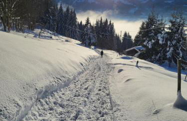 Chalet d'alpage avec vue incroyable - Foto 66