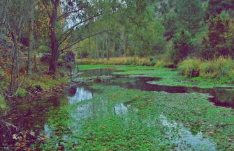 El Mirador del Cañon - Photo 18