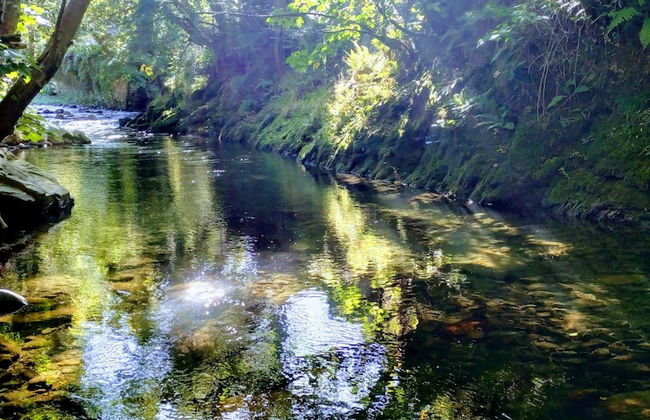 Corrada Torales - Photo 28