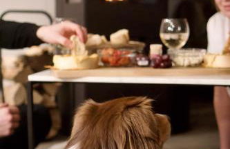 Freistehendes Ferienhaus Renkenmühle näher kann man am Wasser nicht wohnen - Foto 8