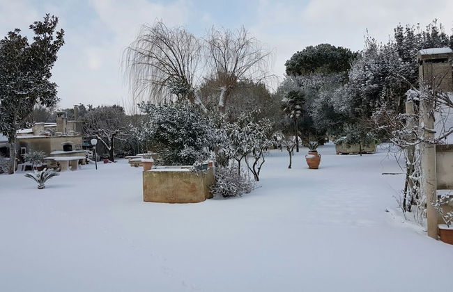 Defabrivillage - Photo 42