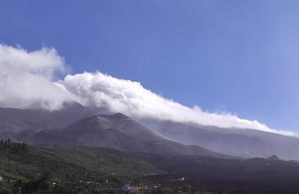 Finca Alda - Foto 31