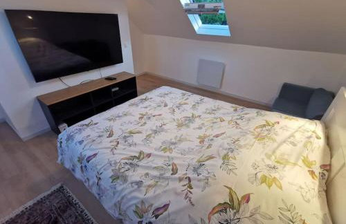 10 mins Center St Germain En Laye - Foto 12