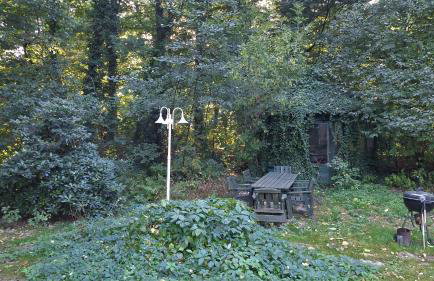 Apartament w ogrodzie - Foto 2