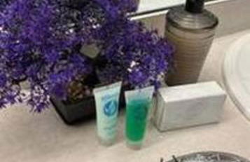 HOUSE 4 Bdr Eco ThematicSaltwater PoolGame Room - Photo 17