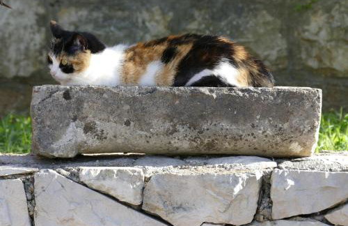 Apartments Laura - Foto 52