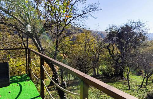 UNDER THE GREEN ROOF - Foto 46