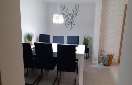 APARTAMENT MIERZYN Sauna & Jacuzzi - Foto 12