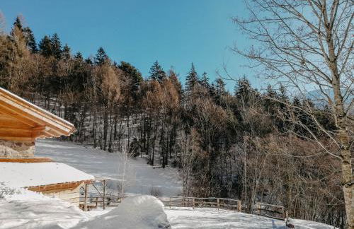Odomi maso nel bosco - Eleganza e Relax nella Natura - Foto 46