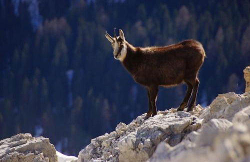 Un rincón especial en VALL DE BOI - Foto 27