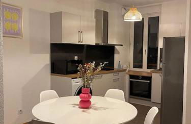 Mulhouse hyper centre - Grand T3- Aux bons enfants - Foto 7