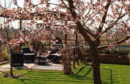 Country House Podere Casorbica - Foto 109