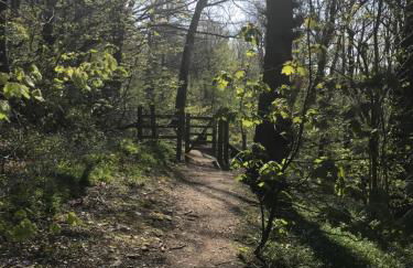 Shepherds Hut in the Hills - Nr. Mold - Foto 17