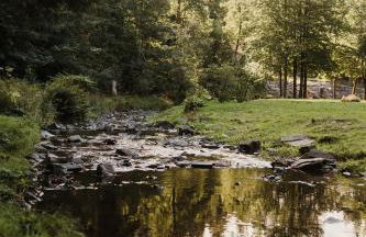 Villa Hoheneck - Foto 42