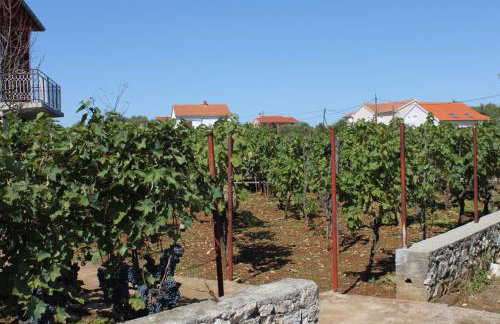 Apartments with a parking space Ugljan - 8404 - Foto 8